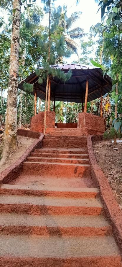 Philip Mary Farm Stay Thekkady Buitenkant foto