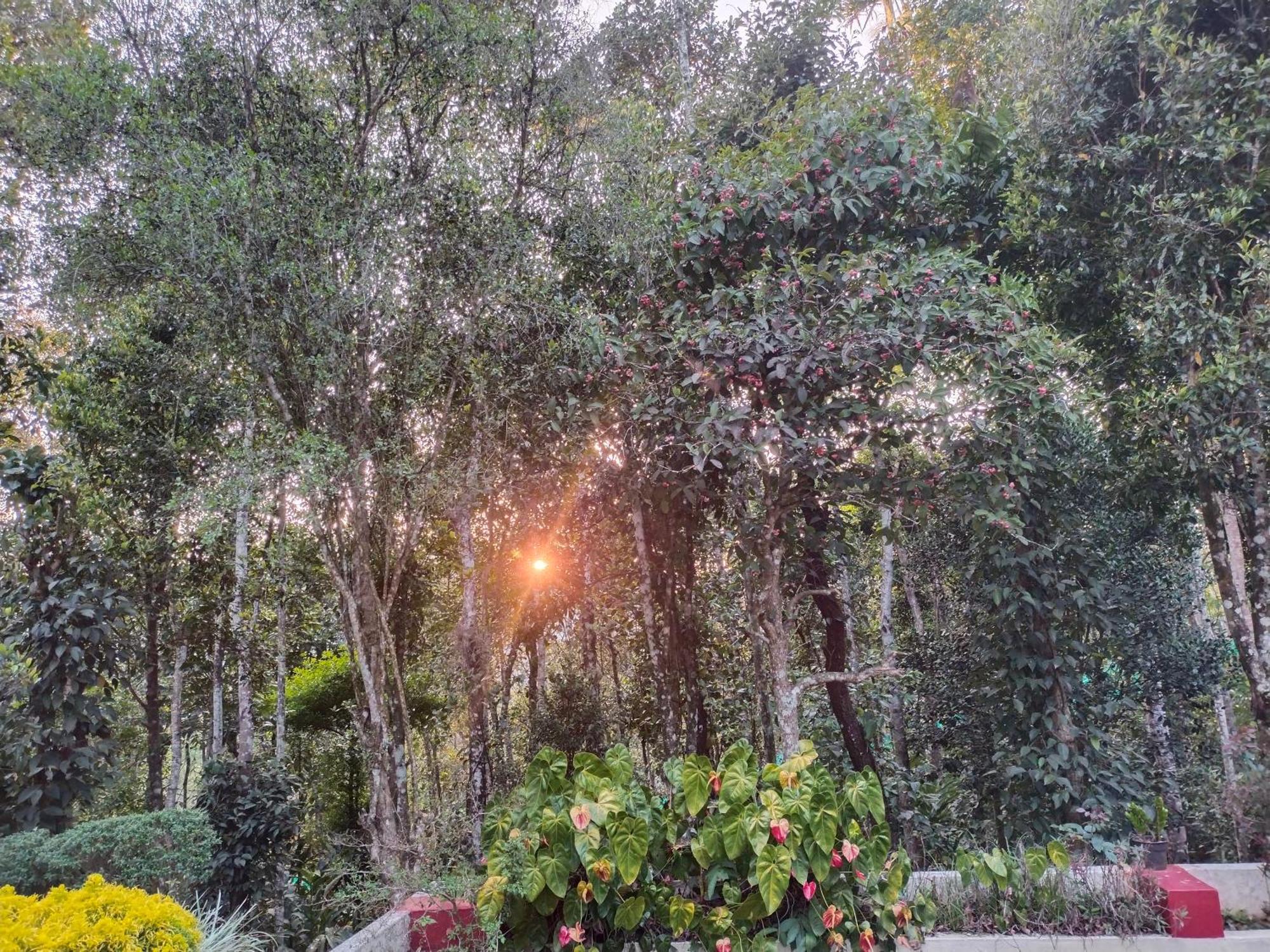 Philip Mary Farm Stay Thekkady Buitenkant foto