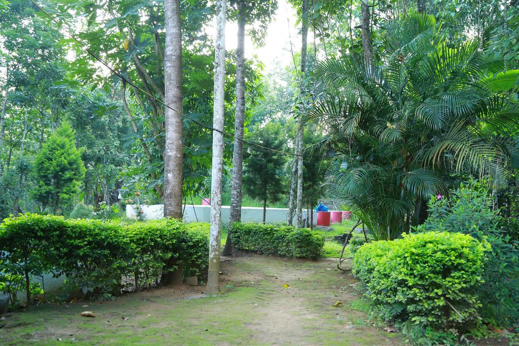 Philip Mary Farm Stay Thekkady Buitenkant foto