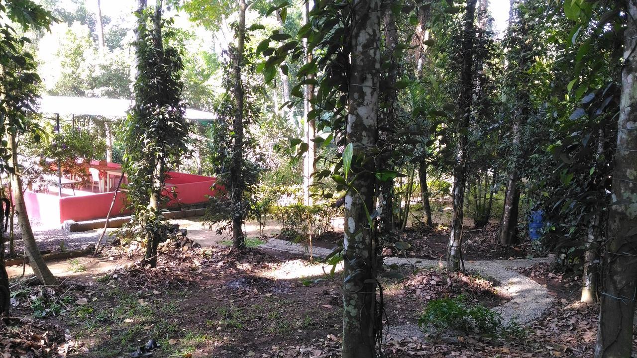 Philip Mary Farm Stay Thekkady Buitenkant foto