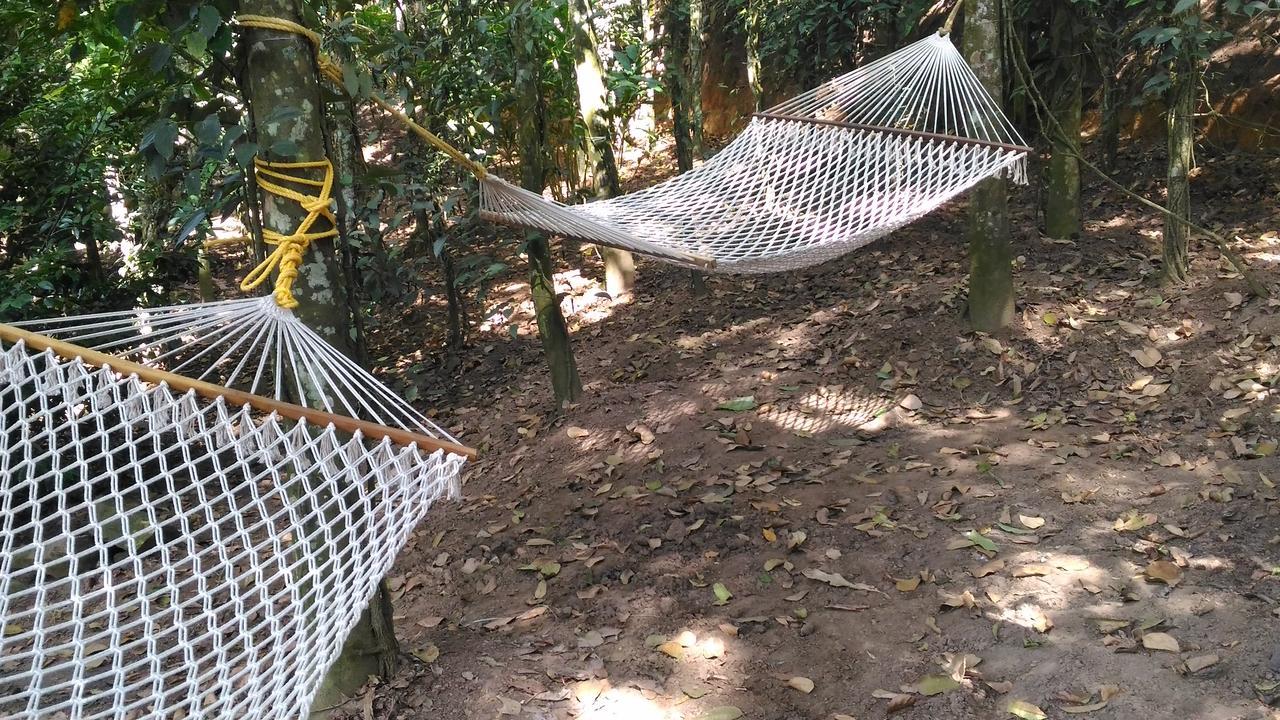 Philip Mary Farm Stay Thekkady Buitenkant foto