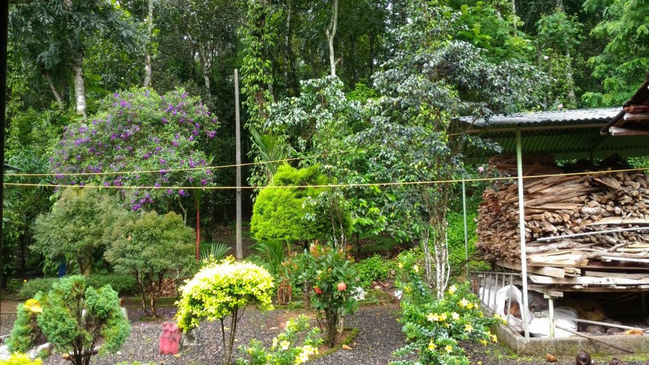 Philip Mary Farm Stay Thekkady Buitenkant foto