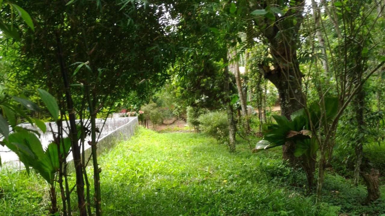 Philip Mary Farm Stay Thekkady Buitenkant foto
