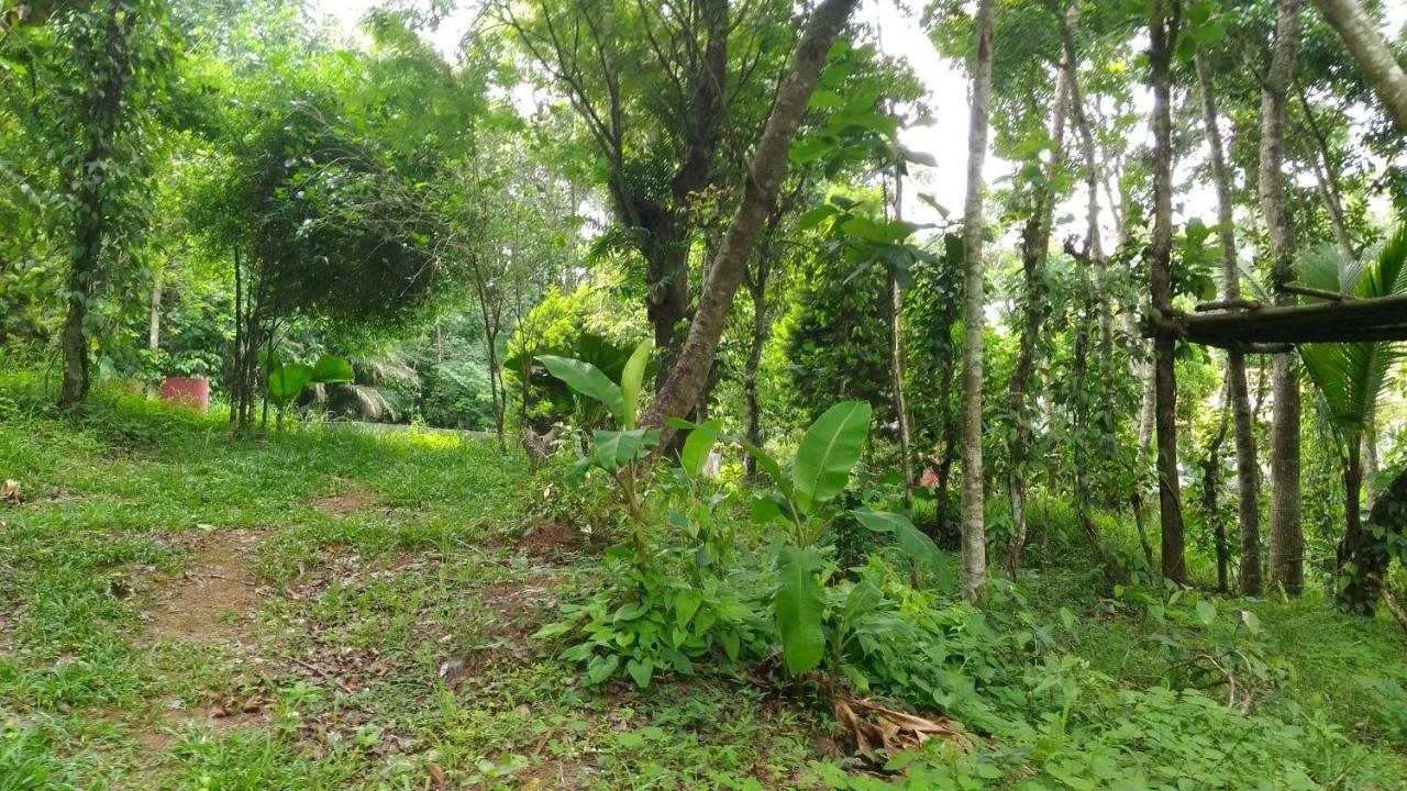 Philip Mary Farm Stay Thekkady Buitenkant foto