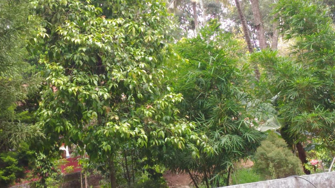 Philip Mary Farm Stay Thekkady Buitenkant foto