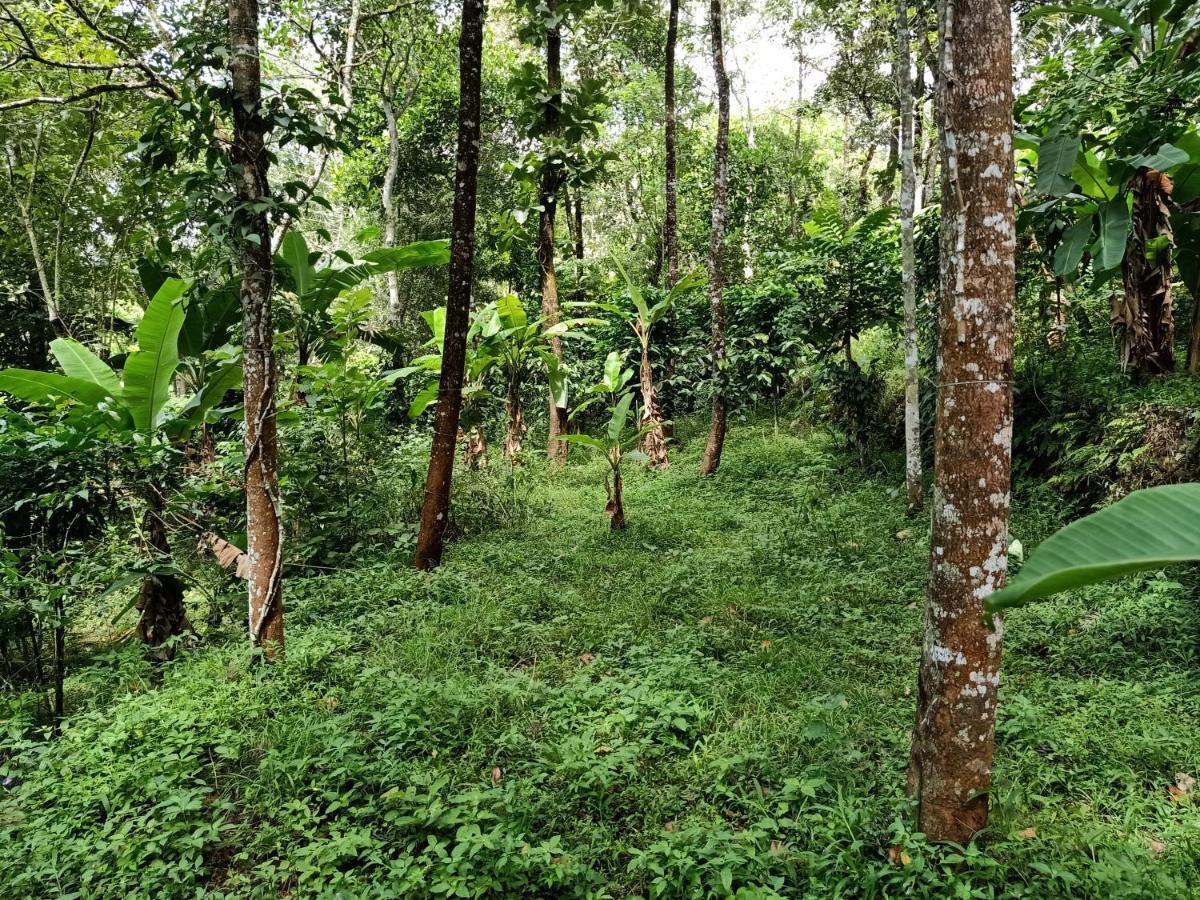 Philip Mary Farm Stay Thekkady Buitenkant foto
